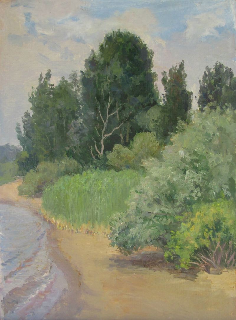  острове против г. Энгельса. к.м. 46х34 1989г.